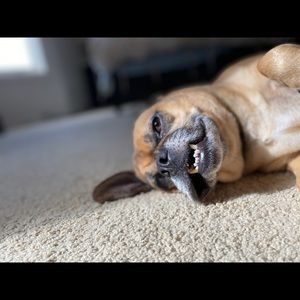 Meet your Posher, David